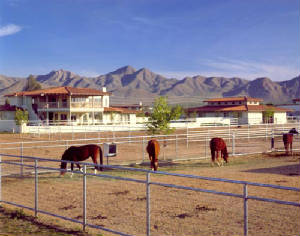 Newhomes/Desheltlerrear.jpg