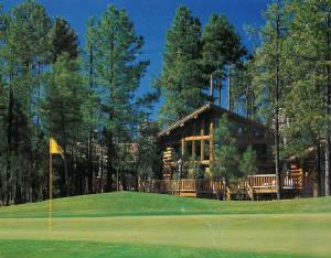 Newhomes/goett.jpg